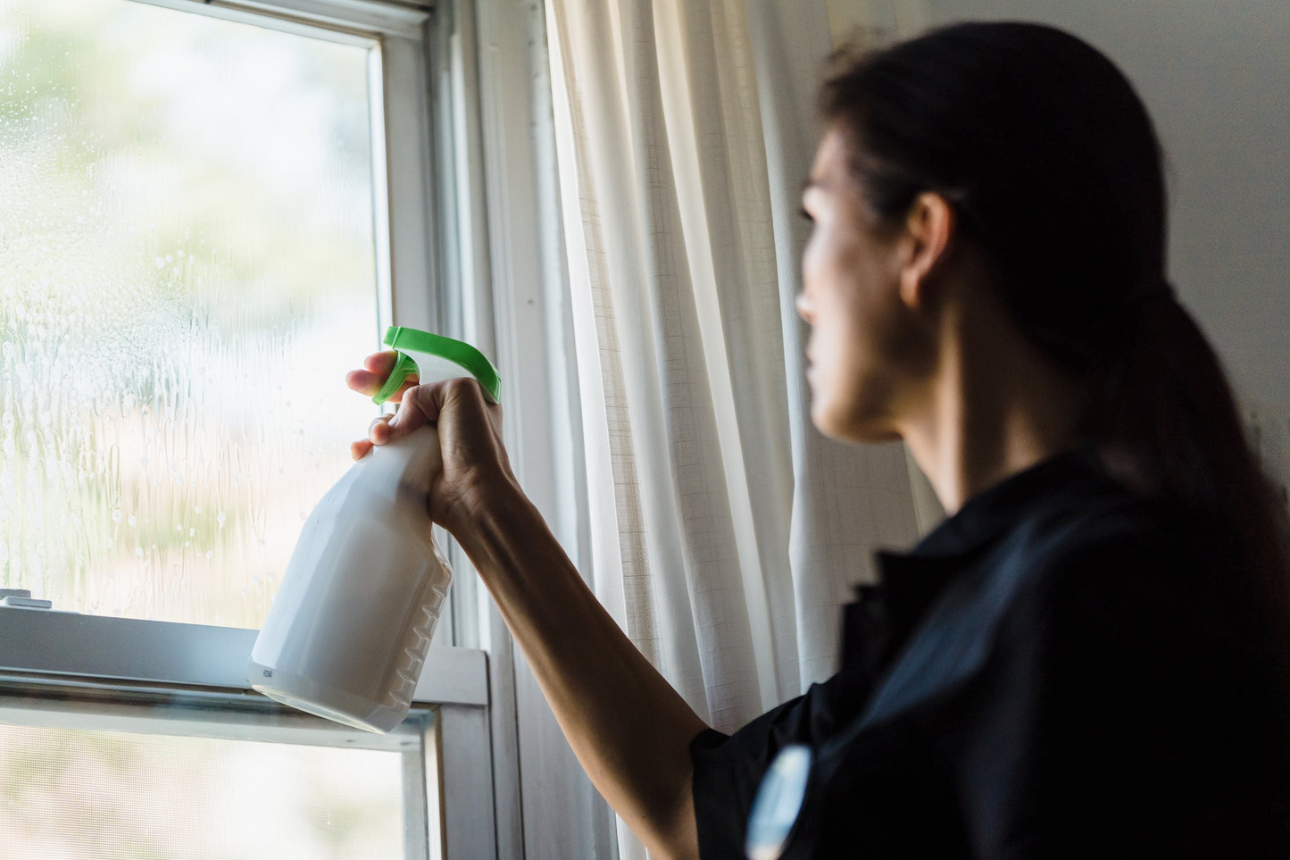 Window Cleaning Service